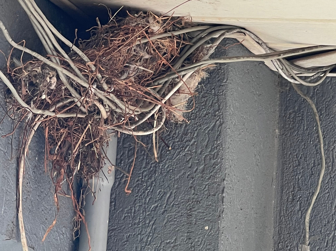 Comfort Inn Forsyth I-75主图