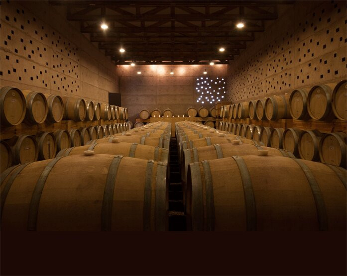 Vinedos Cuna de Tierra景点图片