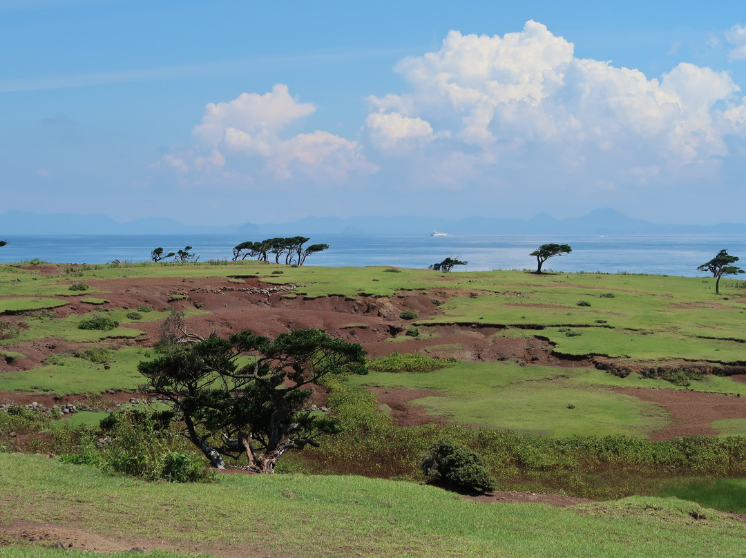 Nozakijima Visitor Center-小值贺町必去景点