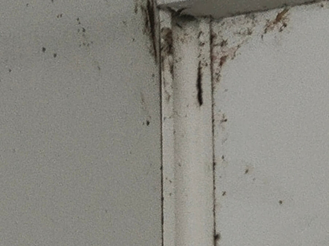 德鲁里汽车旅馆主图