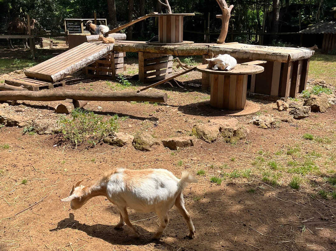 Parc le Theil-Le Caylar必去景点