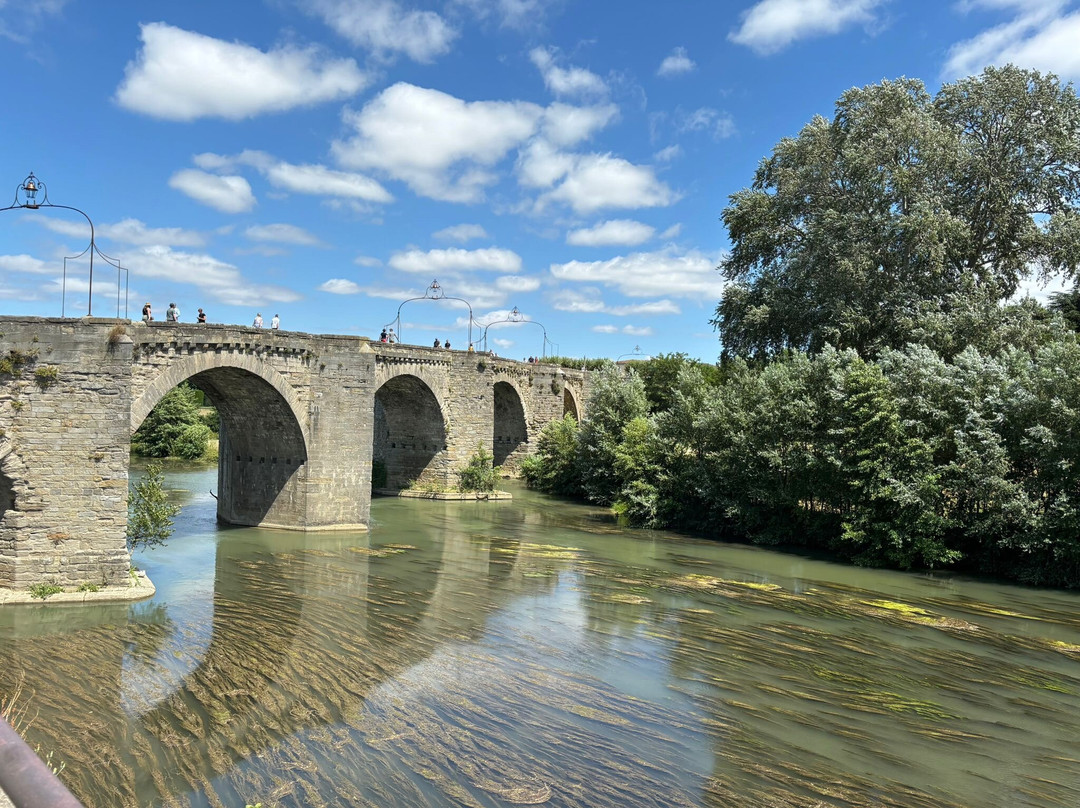 Le Pont Vieux (The Old Bridge)景点图片