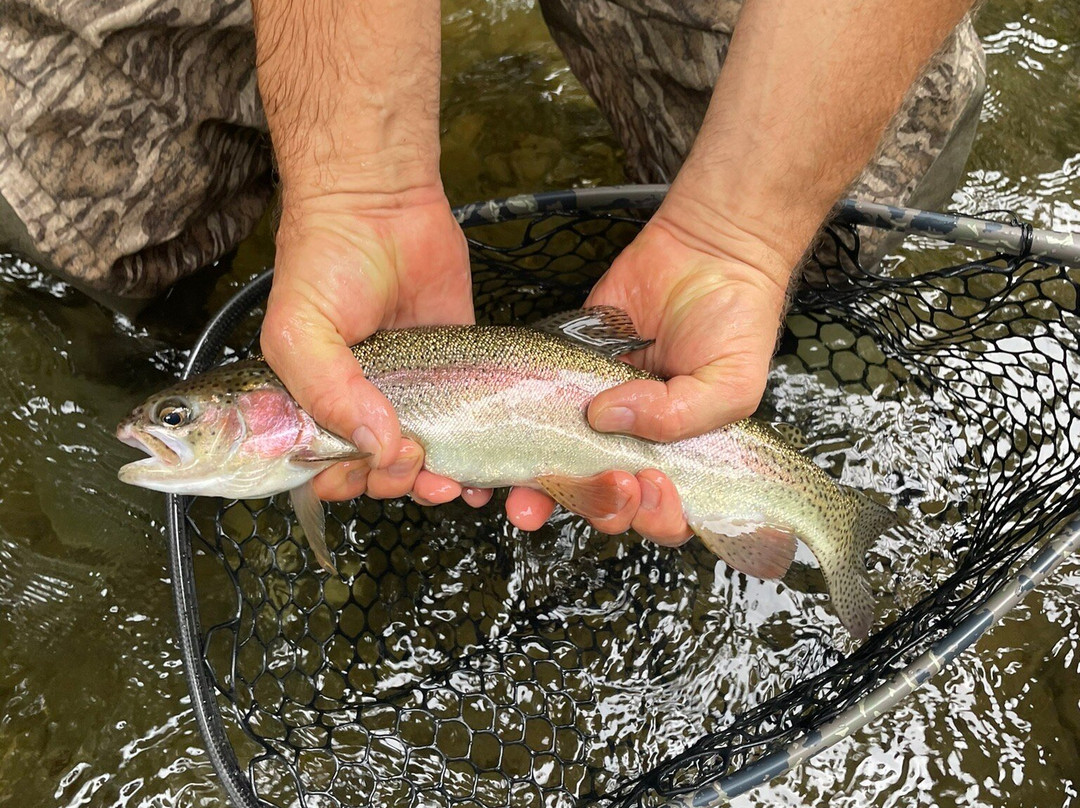 Fly Fishing the Smokies-布赖森城必去景点