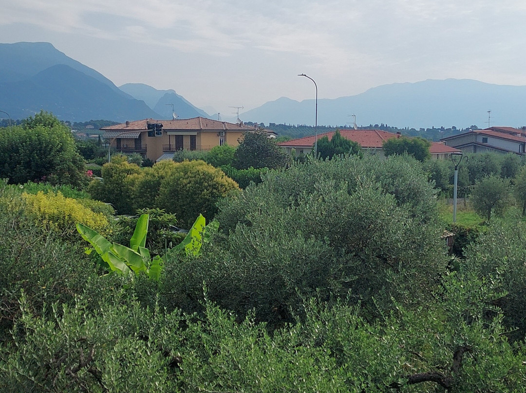 Le Tre Bandiere主图