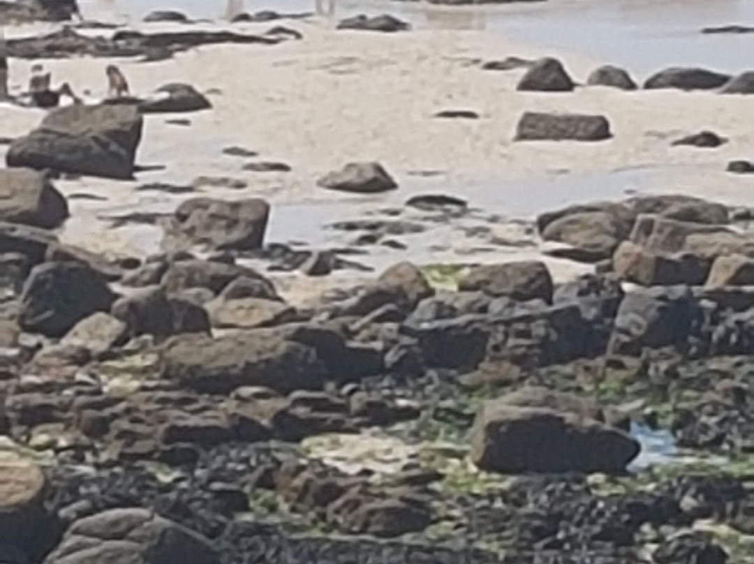 Nanjizel Beach-彭赞斯必去景点