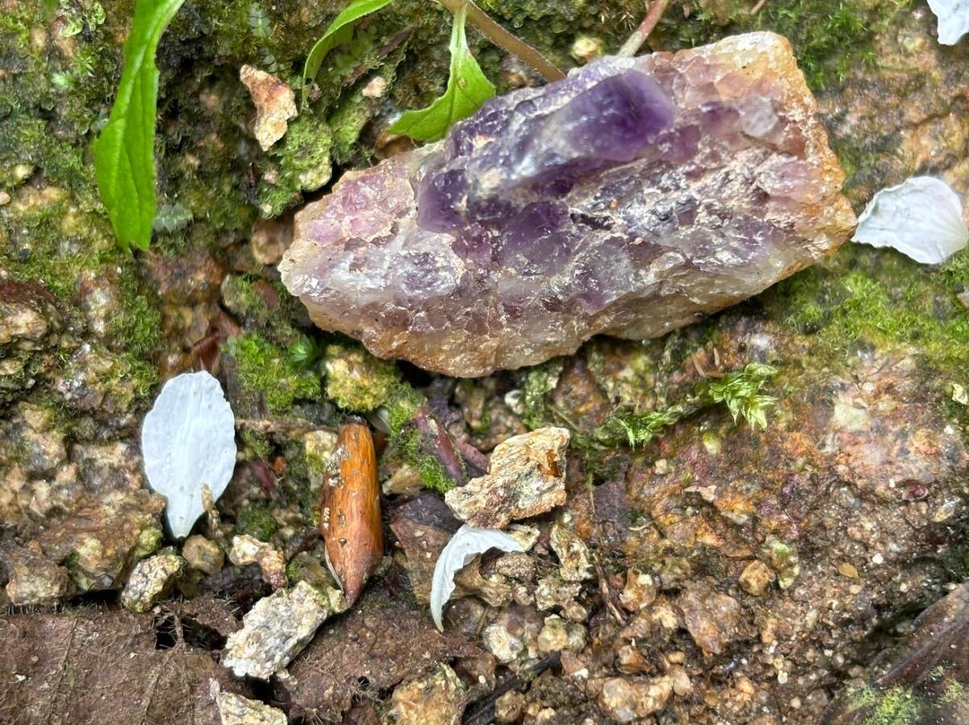 Amethystes d'Auvergne景点图片