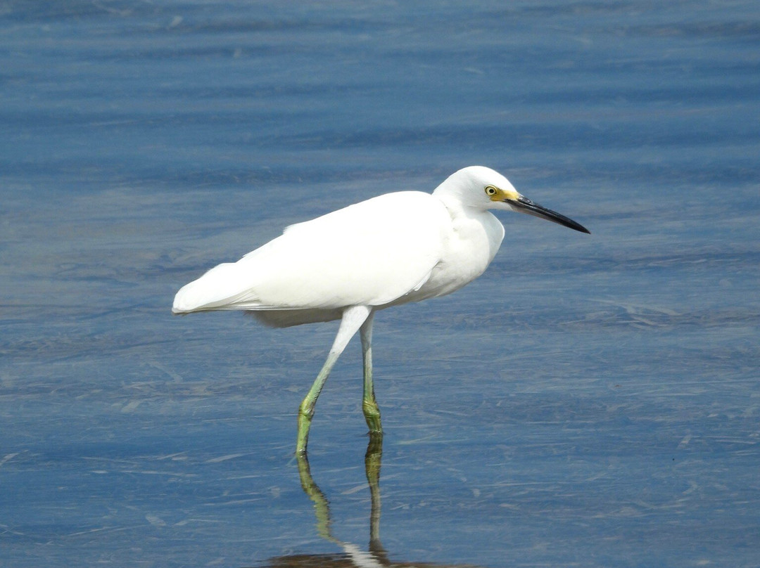 Long Key State Park-Layton必去景点