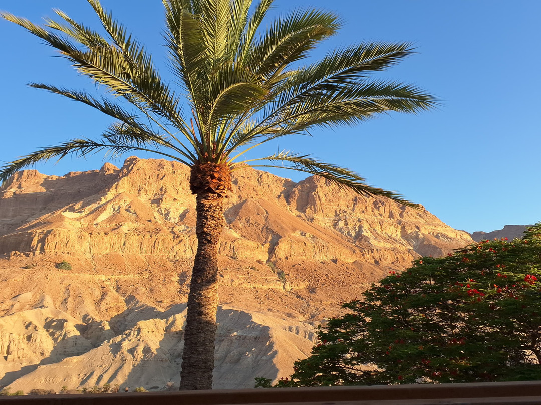 茵格德克布兹酒店主图