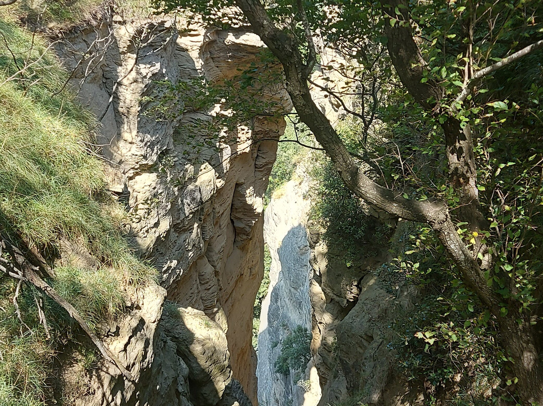 Monte Adone景点图片
