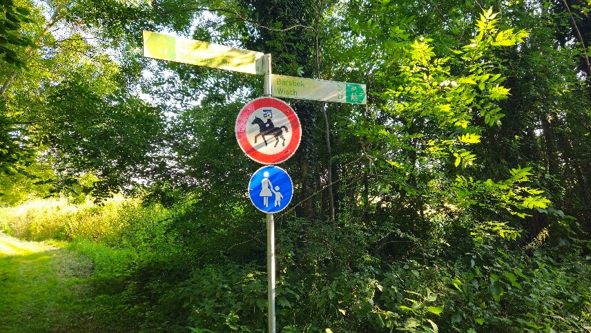 Landhotel Langholz主图