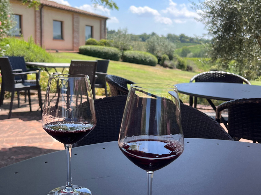 Tenuta Santavenere - Casa Vinicola Triacca-蒙特普尔恰诺必去景点