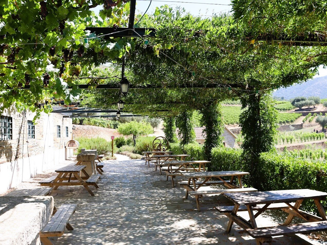Quinta da Roeda-Pinhao必去景点