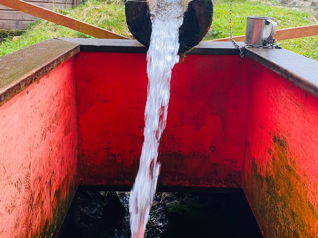 Okovets Sacred Spring-Okovtsy必去景点