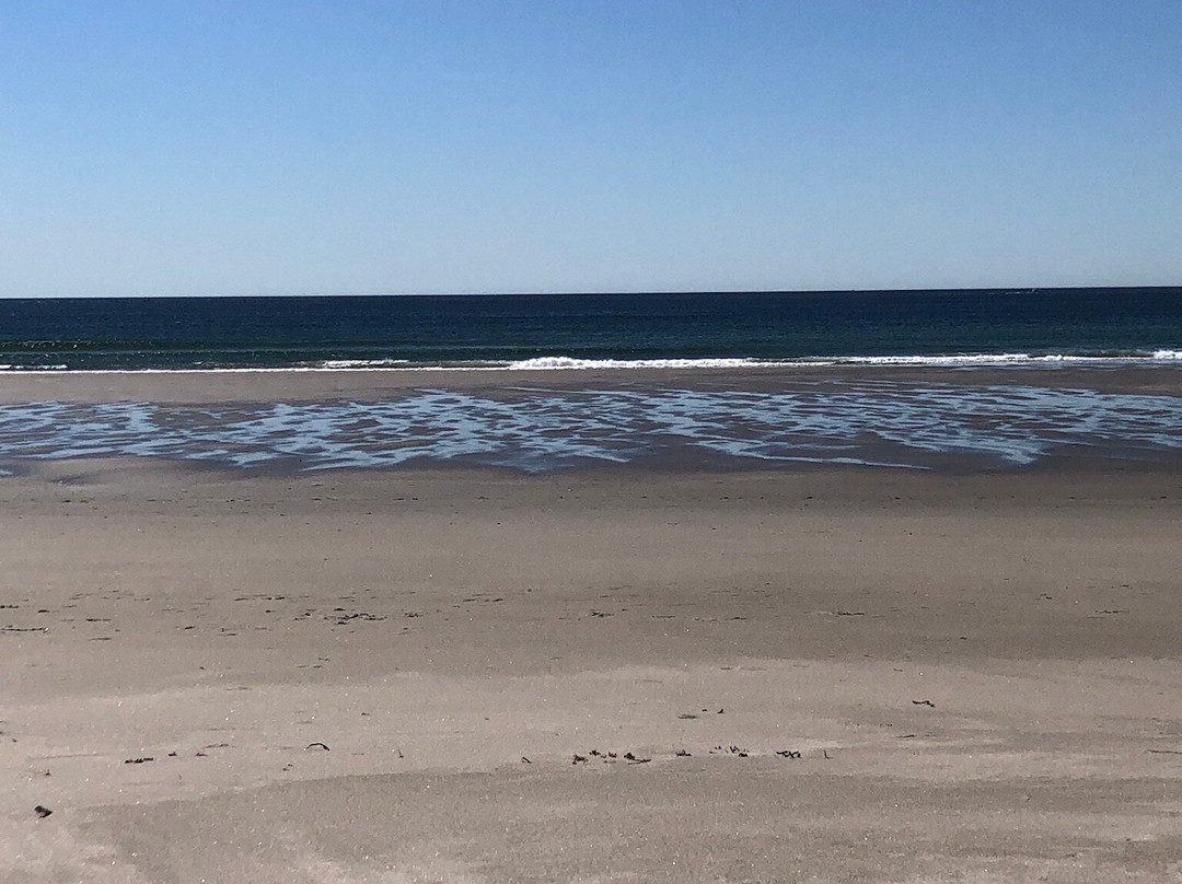 Good Harbor Beach景点图片