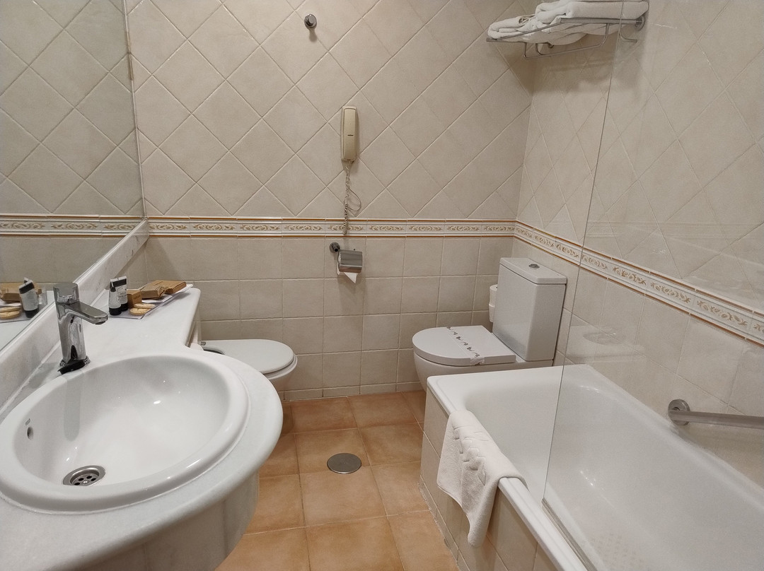 托雷曼加纳酒店主图