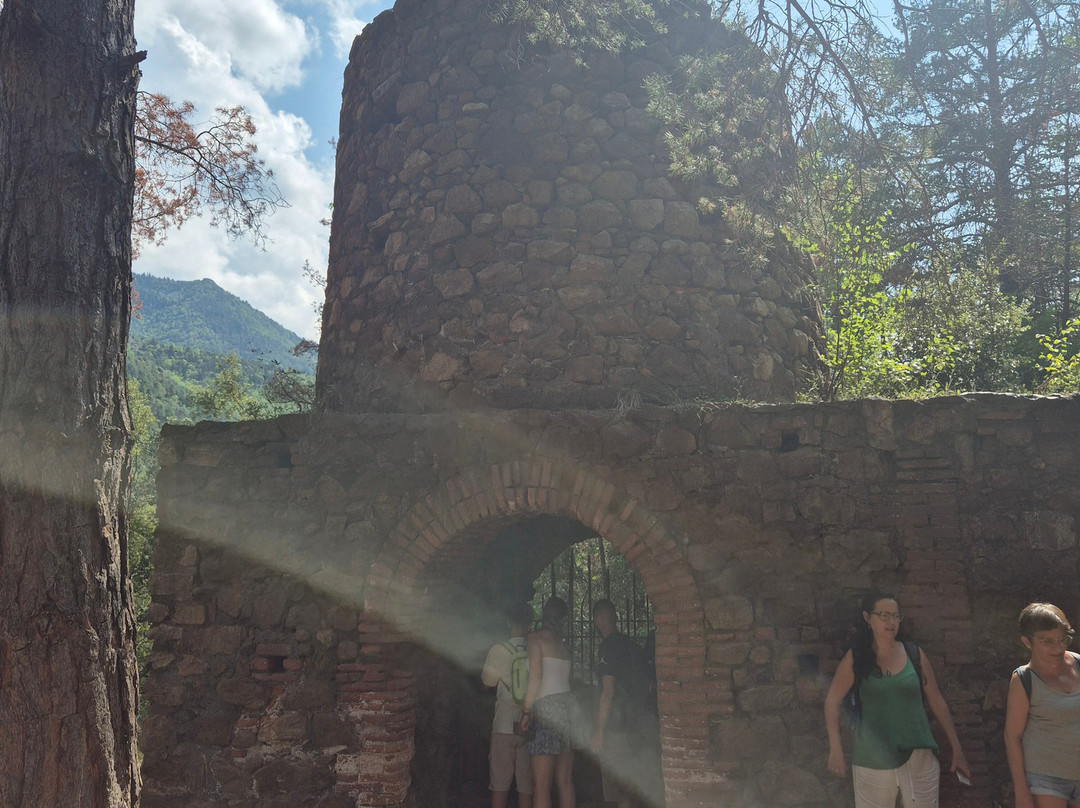 Visite Guidée Du Sentier Des Mines景点图片