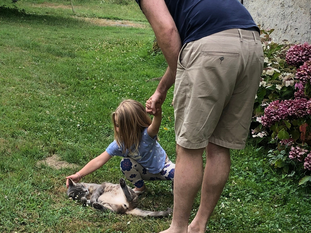 Au Petit Grain主图