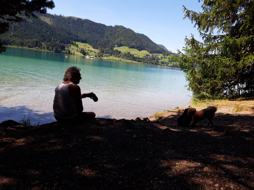 Jufa Hotel Gitschtal***主图