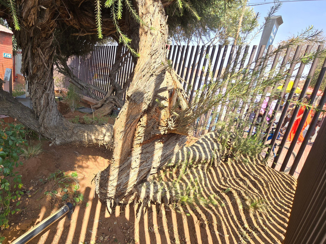 Cycle Tour of Soweto including Lunch景点图片