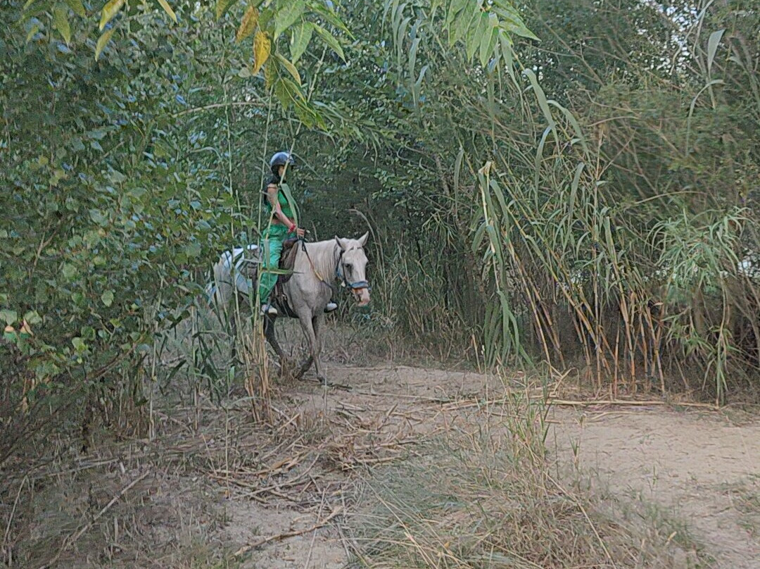 WILD WEST ABRUZZO-Mosciano Sant'Angelo必去景点