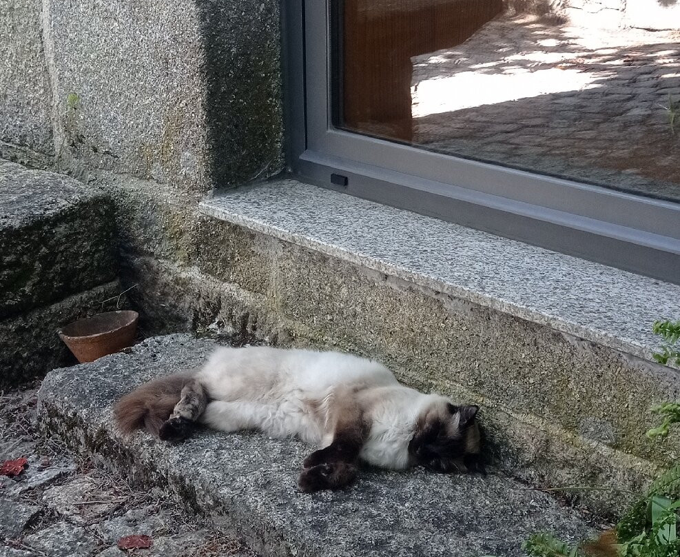 Quinta das Delicias de Santiaguinho主图