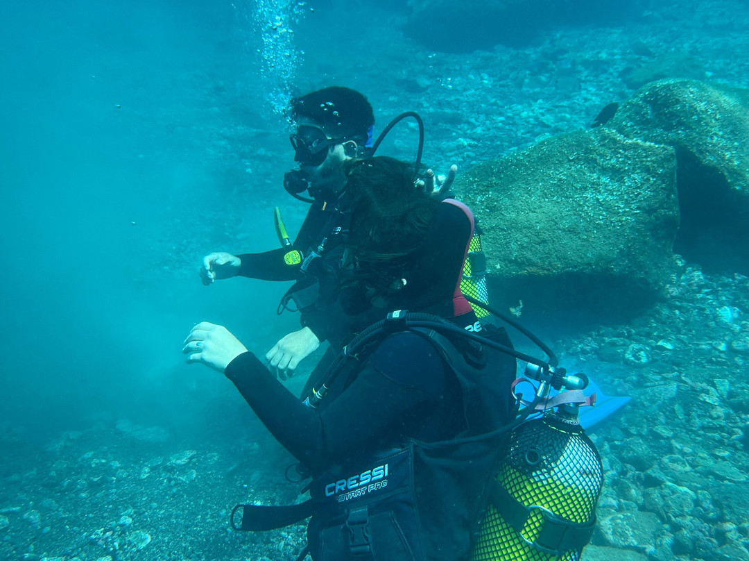 Deep Ocean Diver-圣克鲁斯-德特内里费必去景点