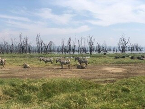 Kalbo Adventures-内罗毕必去景点