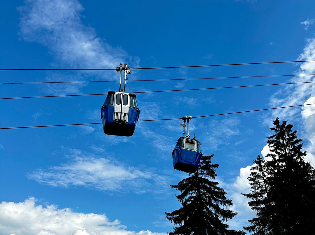 Wankbahn Cable Car景点图片