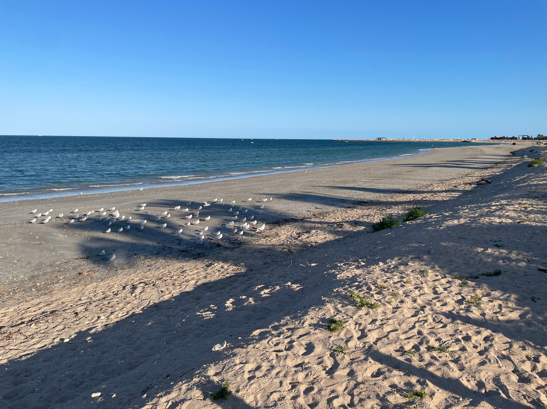 Town Beach-埃克斯茅斯必去景点