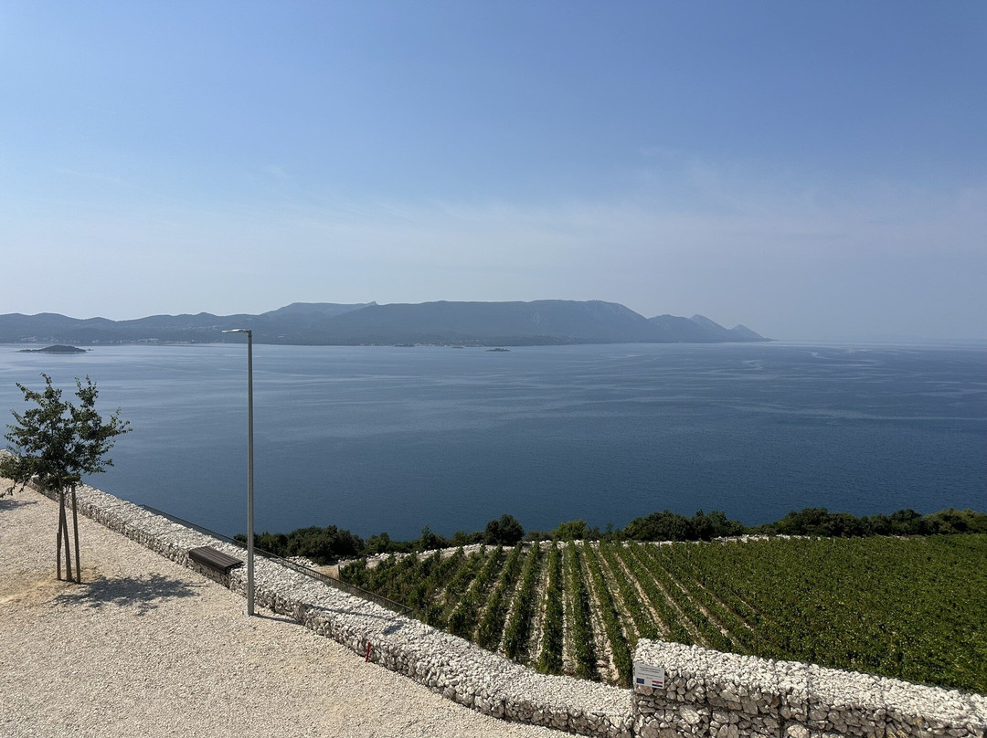 Terra Madre Winery景点图片