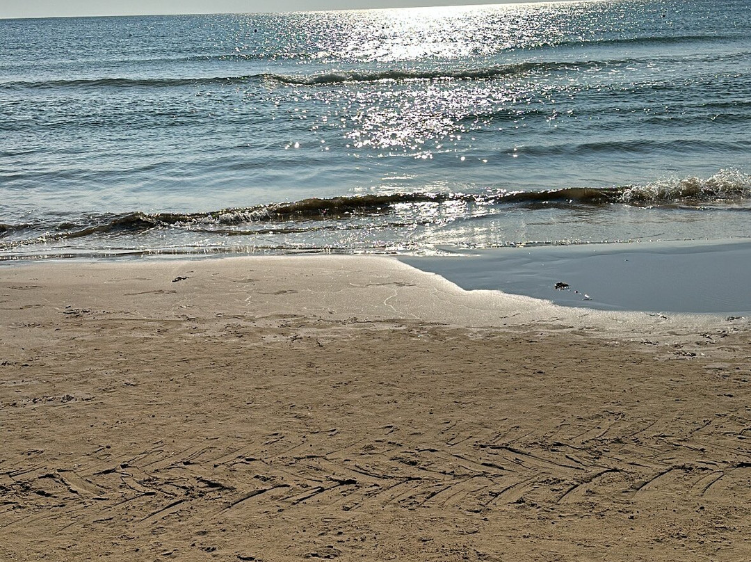 Oasi Beach Hotel主图