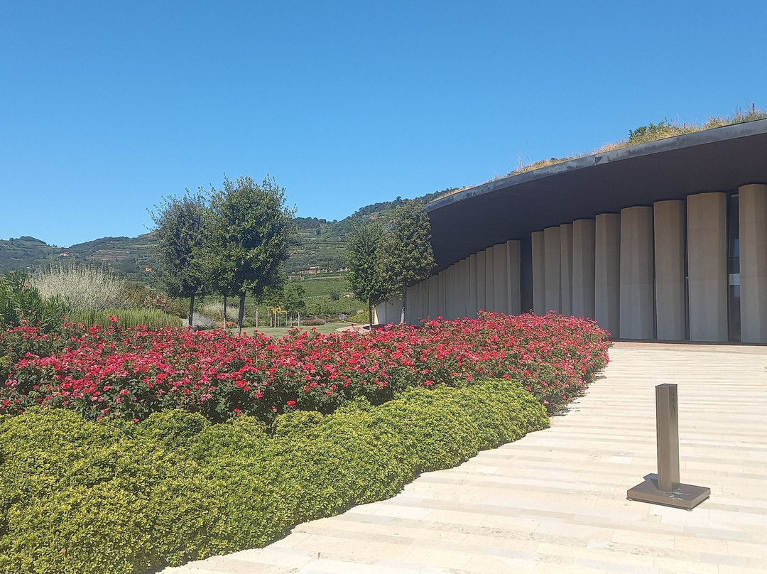 Cantina Leonildo Pieropan景点图片