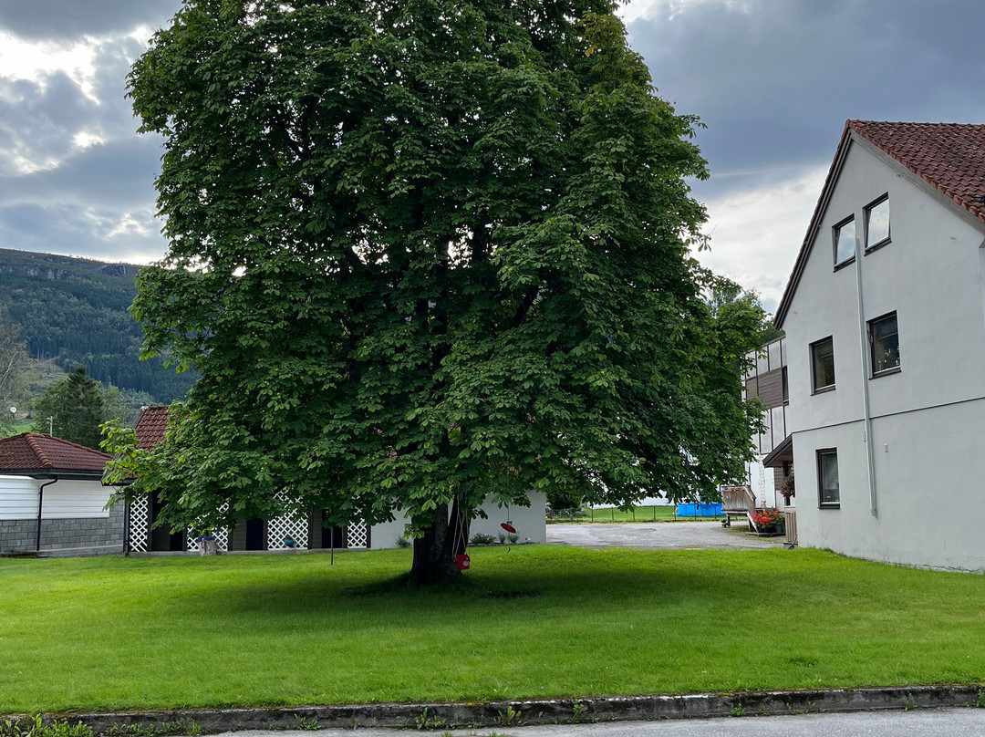 Innvik Fjordhotell主图