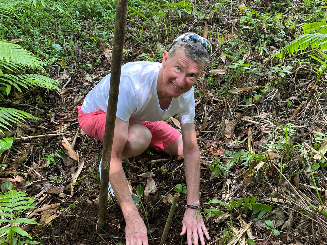 BAMBOO FOREST SANDAN-Angsri必去景点