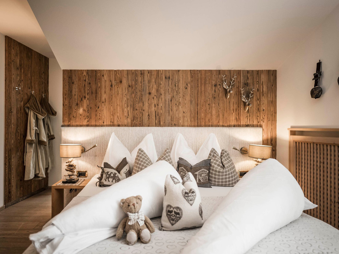 Alpine Boutique Villa Gabriela主图