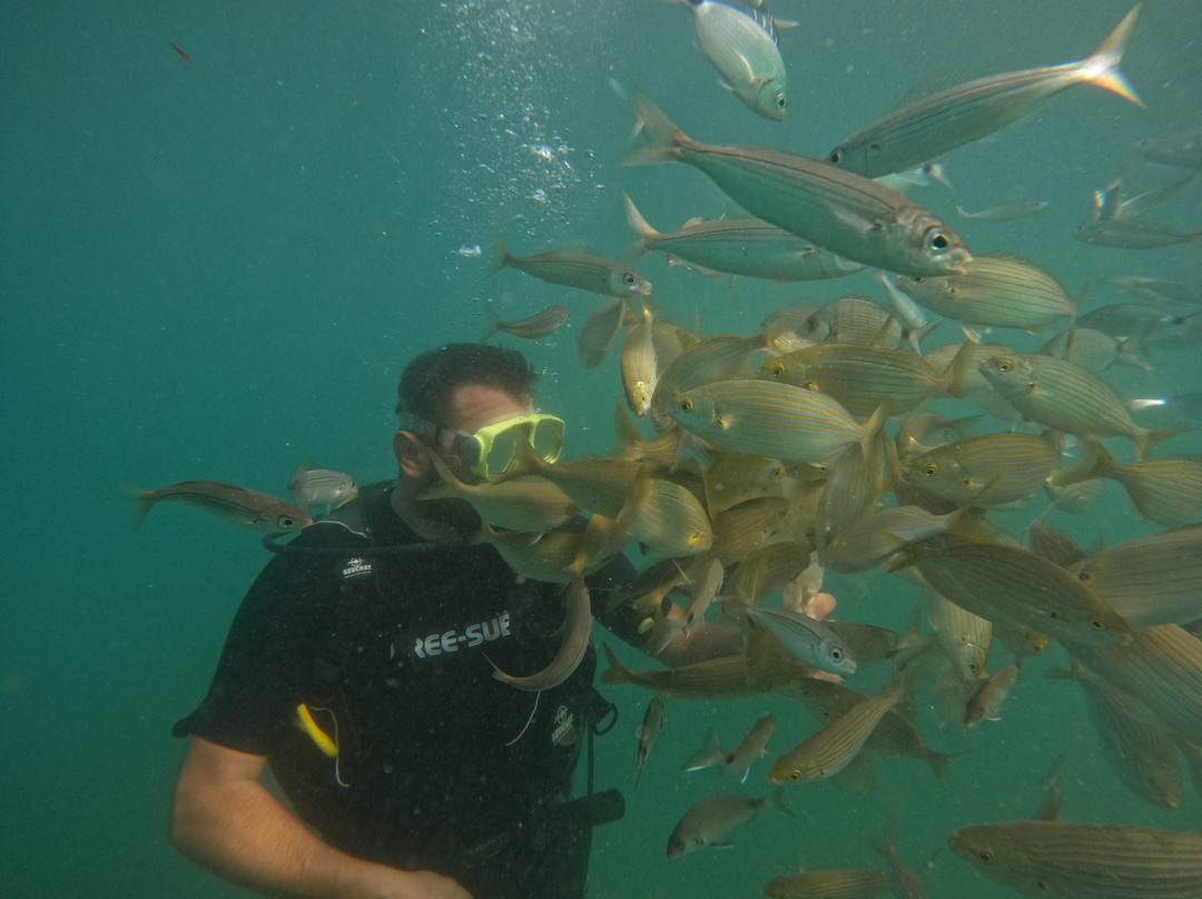 Active Blue Diving Center景点图片