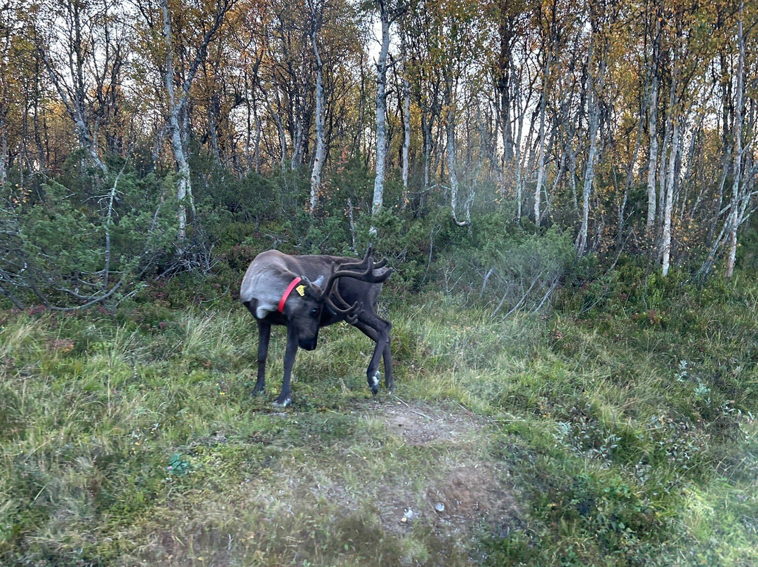 Nordpå Fjellhotell主图