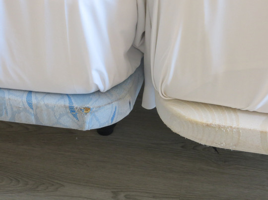 BelleVue Belsana主图