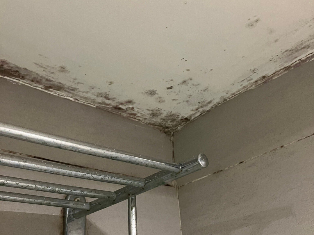 Hotel Shelton Rajamahendri主图