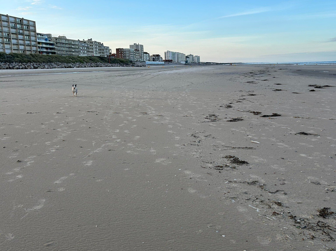 La Plage d'Hardelot-Neufchatel-Hardelot必去景点