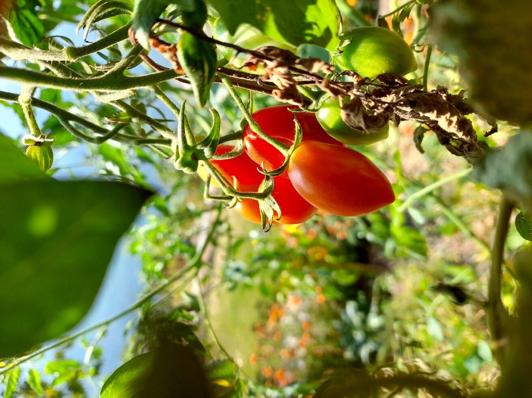 Palazzo Juvalta主图