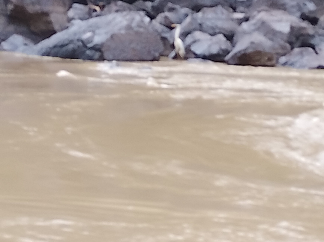 Raudales Rio Guayabero-La Macarena必去景点