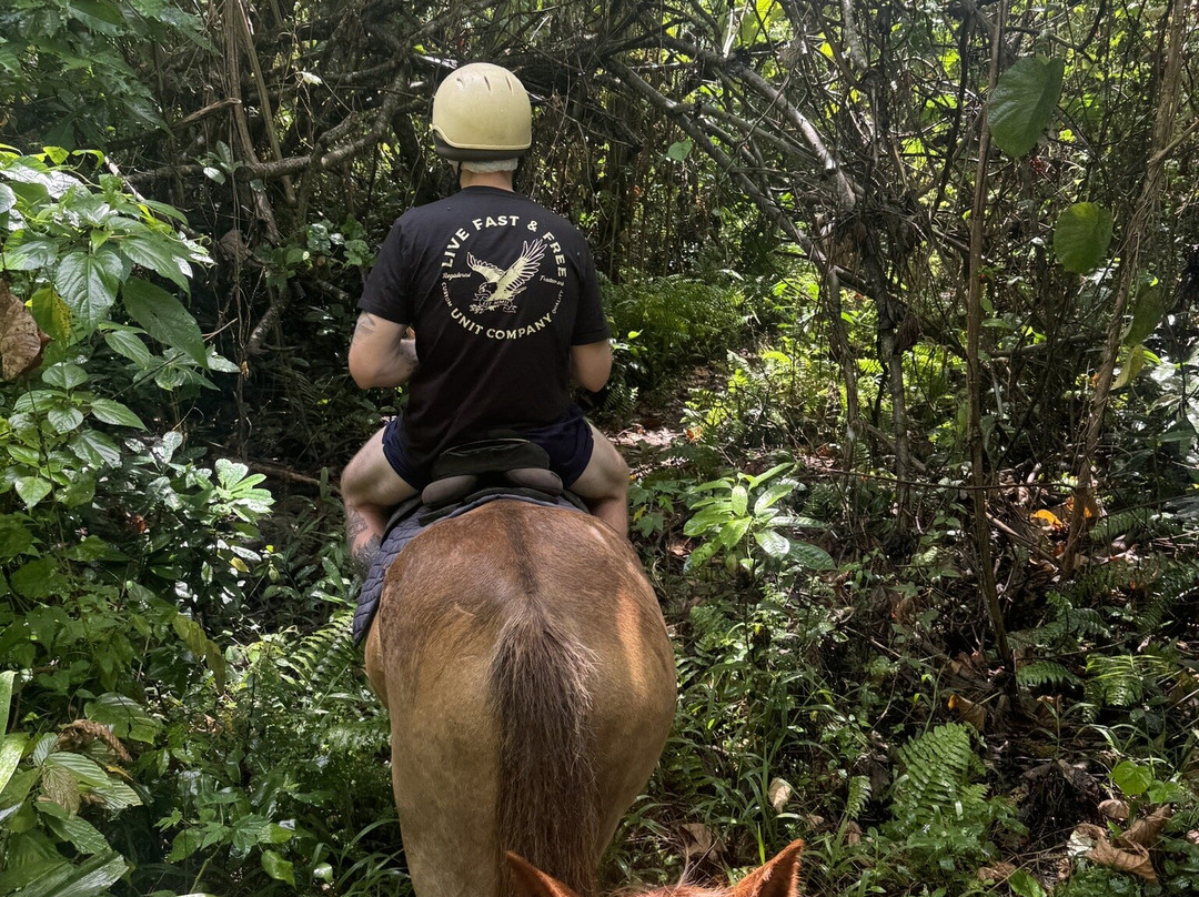 Club Hippique Adventure Park-维拉港必去景点
