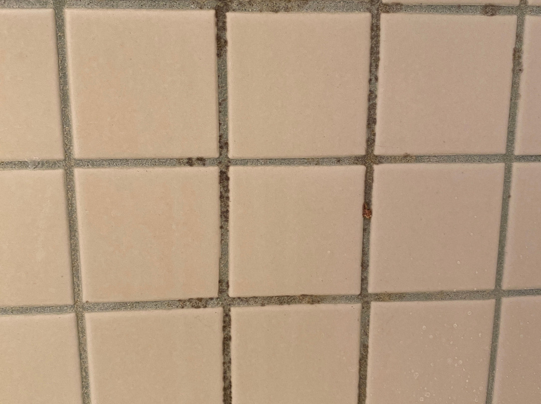 The House on the Rock Resort主图