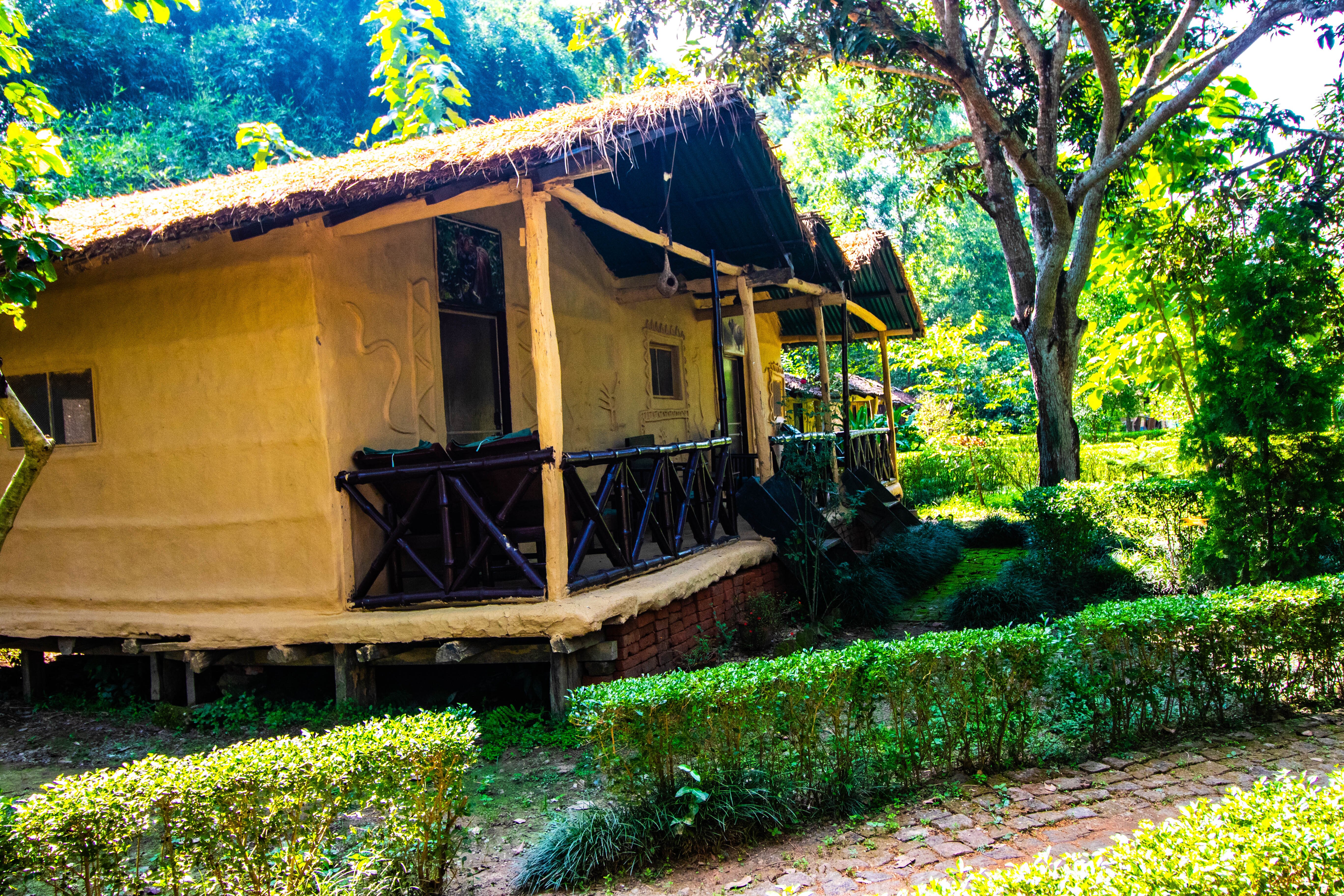Wild Planet Eco Retreat-酒店景观