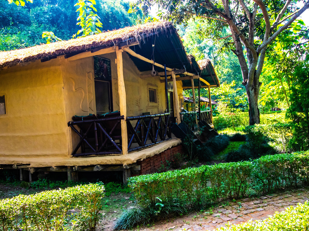 Wild Planet Eco Retreat主图