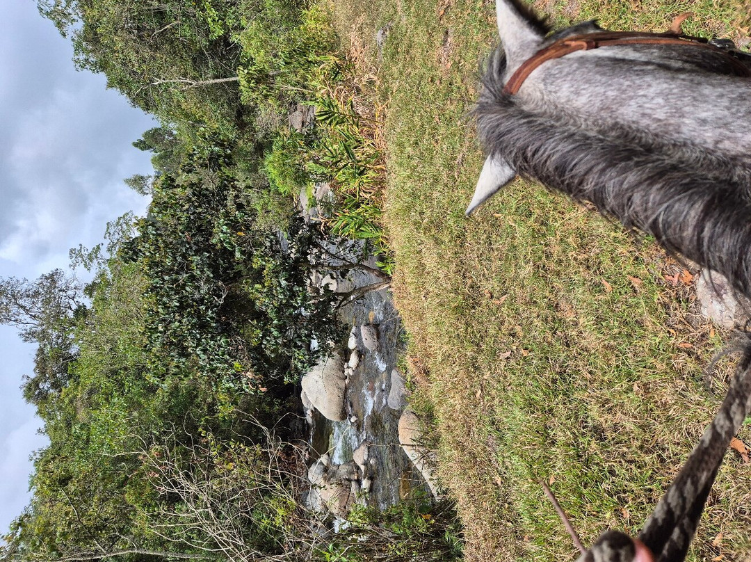 Reserva Guadalajara主图