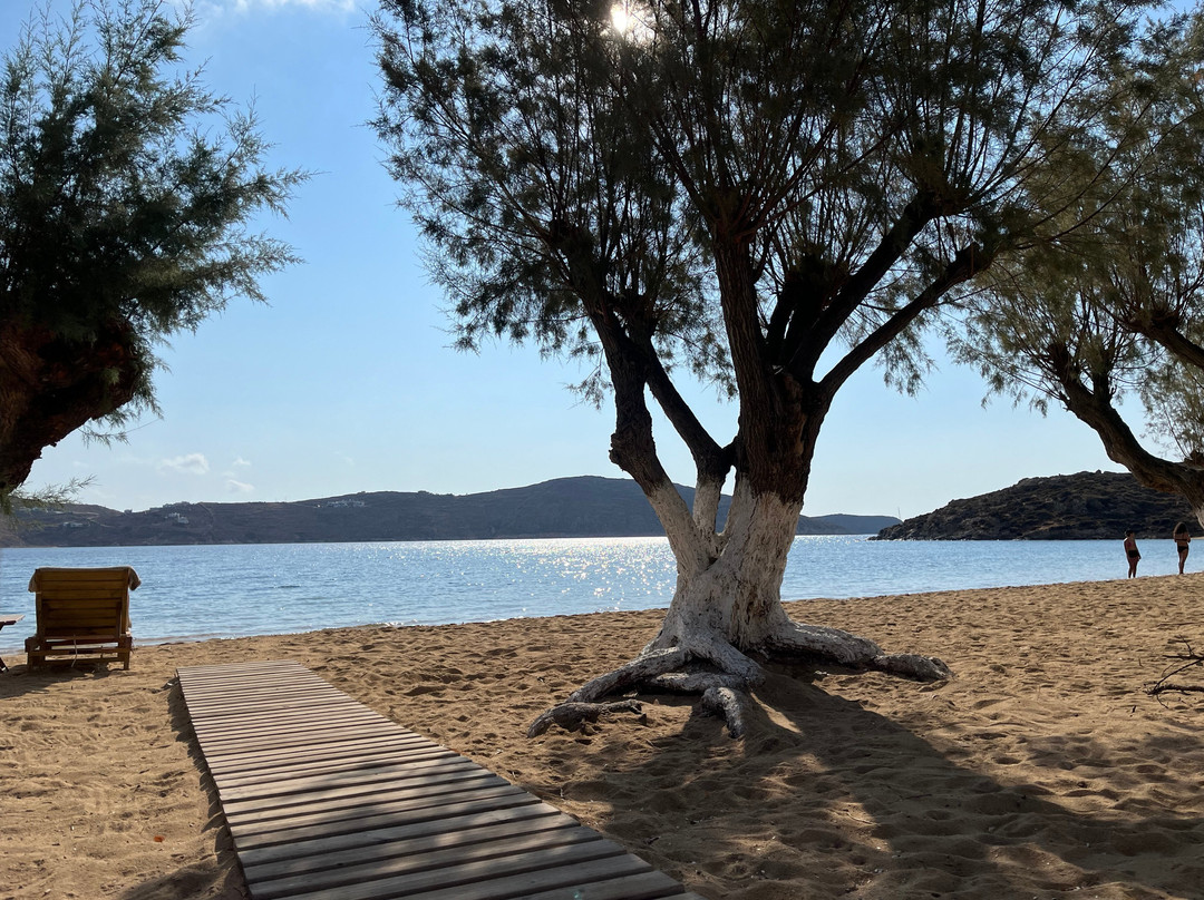 Coralli Bungalows主图