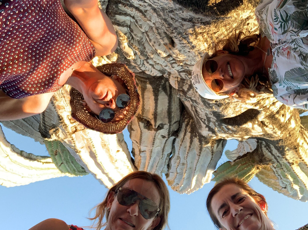 Las Palmas Hotel主图