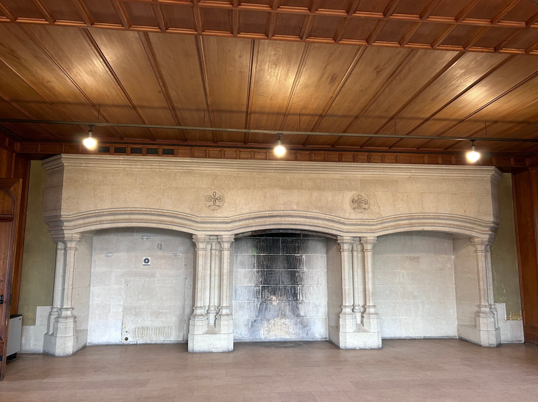 Château de Ripaille景点图片